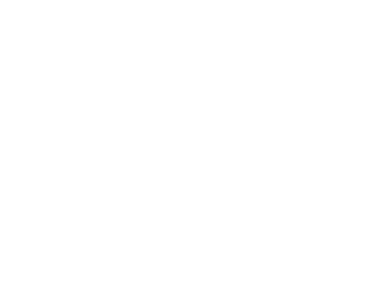 MAG